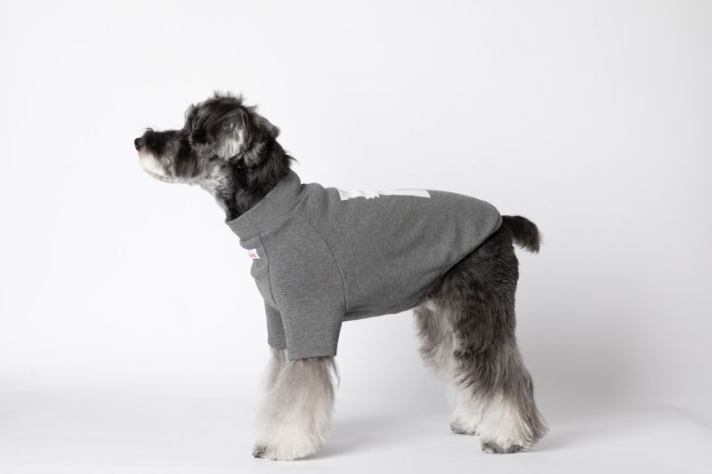 su-ha kun ハイネックTシャツ/シュナウザー・テリア犬服/mmsu-ha