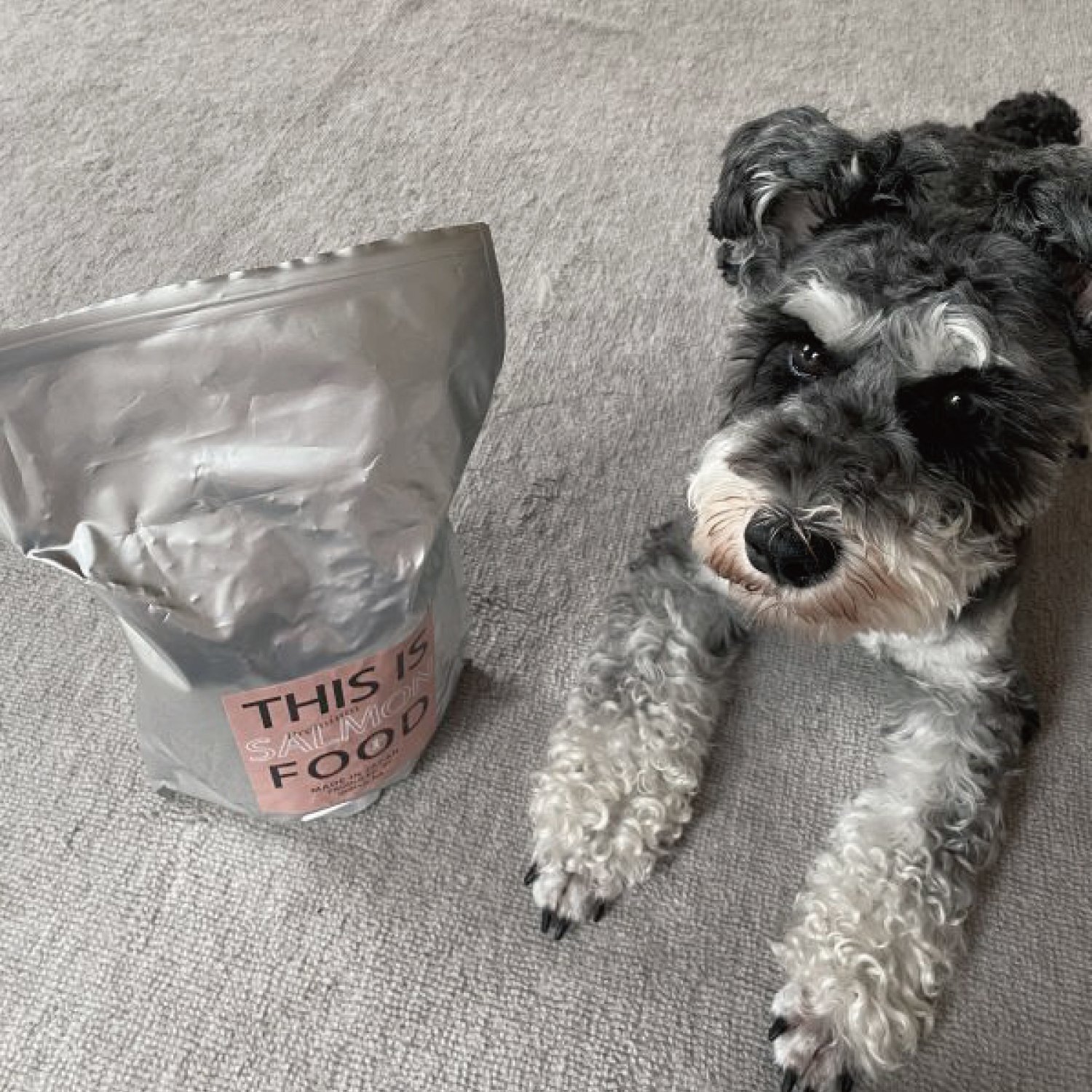 シュナウザー・テリア専用フードショップ【限定サーモン】ドッグフード