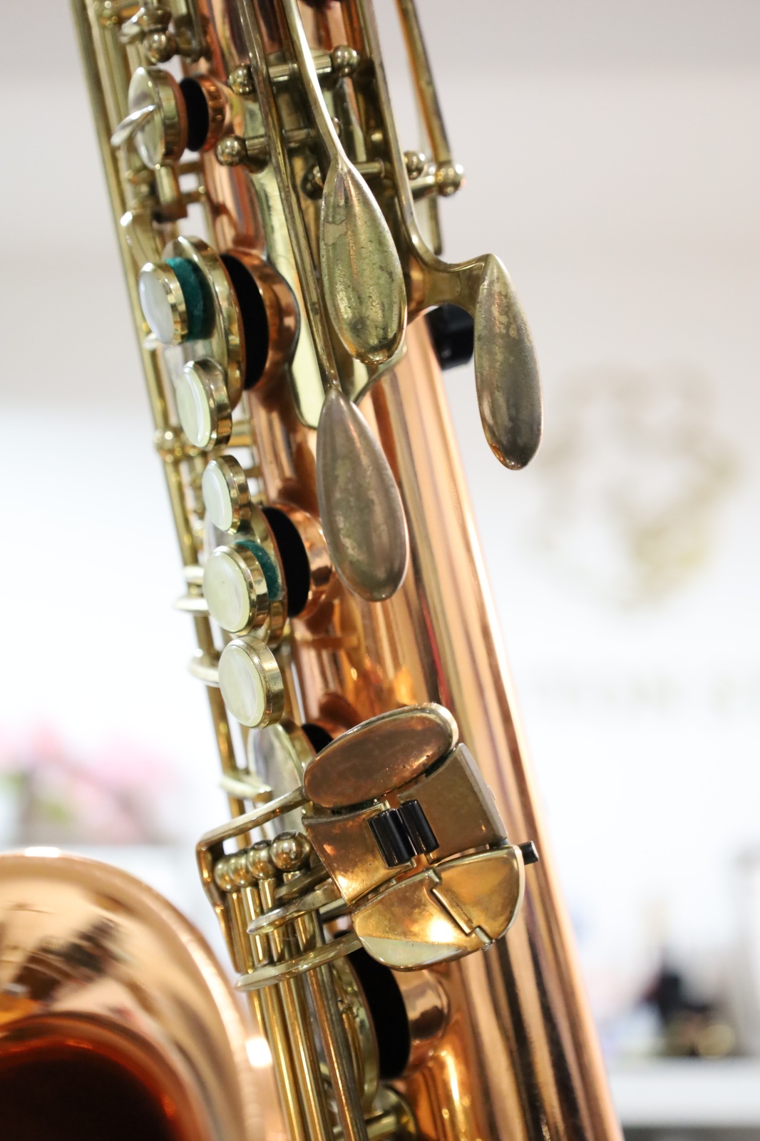 Buffet Crampon S1 Prestige - 管楽器を深く楽しむ人へ｜MOUTON STORE