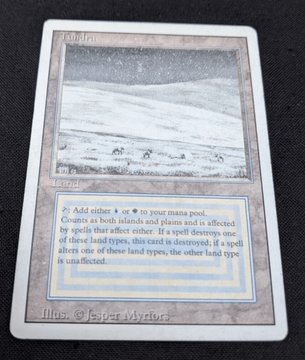 ○【訳アリ】 Tundra 他言語 1枚 ○【訳アリ】 Tundra 他言語 1枚