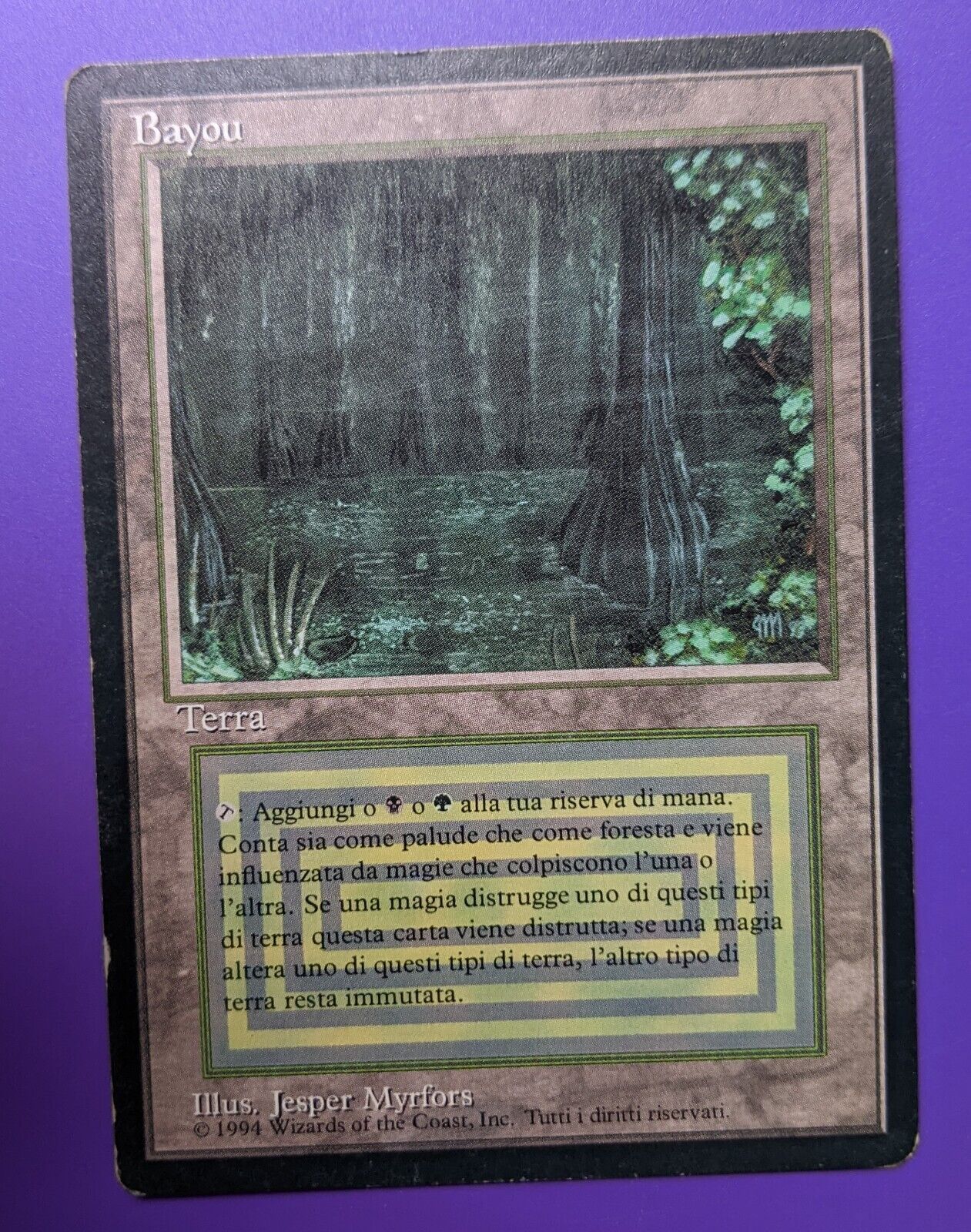 MTG Bayou イタリア語 3ED(FBB) 黒枠 デュアルランド MTG Bayou