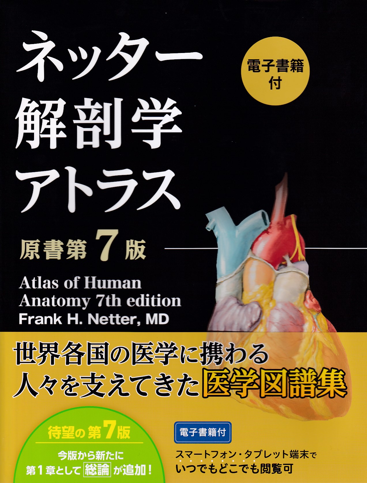 ネッター解剖学アトラスと病気がみえるシリーズ 生物・解剖・医学書籍