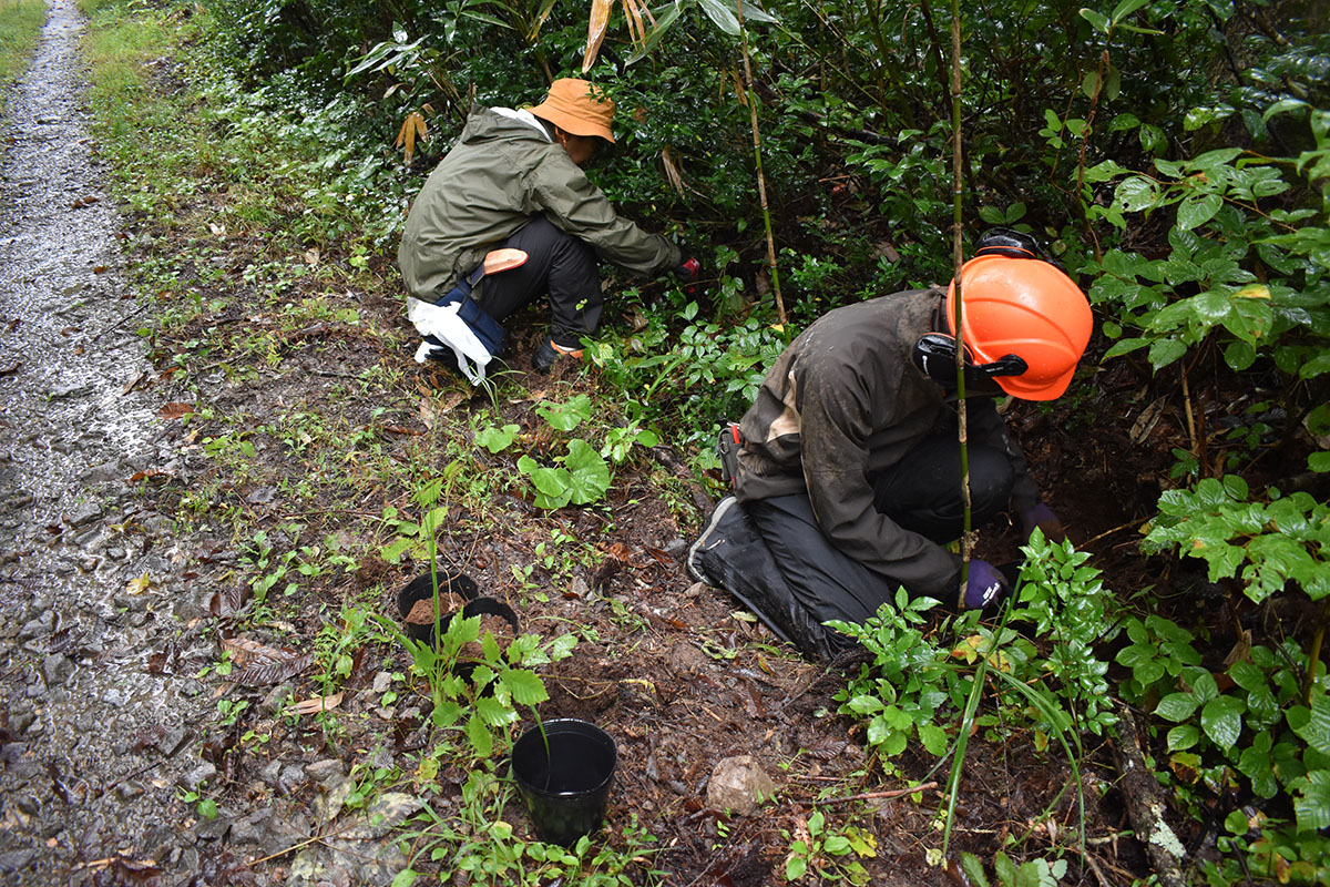 はじめの一歩は雨ニモマケズ。富山県南砺市で種採りをしました | 一般