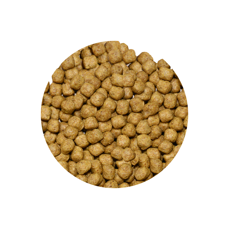 Meal ミール（成犬用） | 株式会社森乳サンワールド | 森永乳業グループ