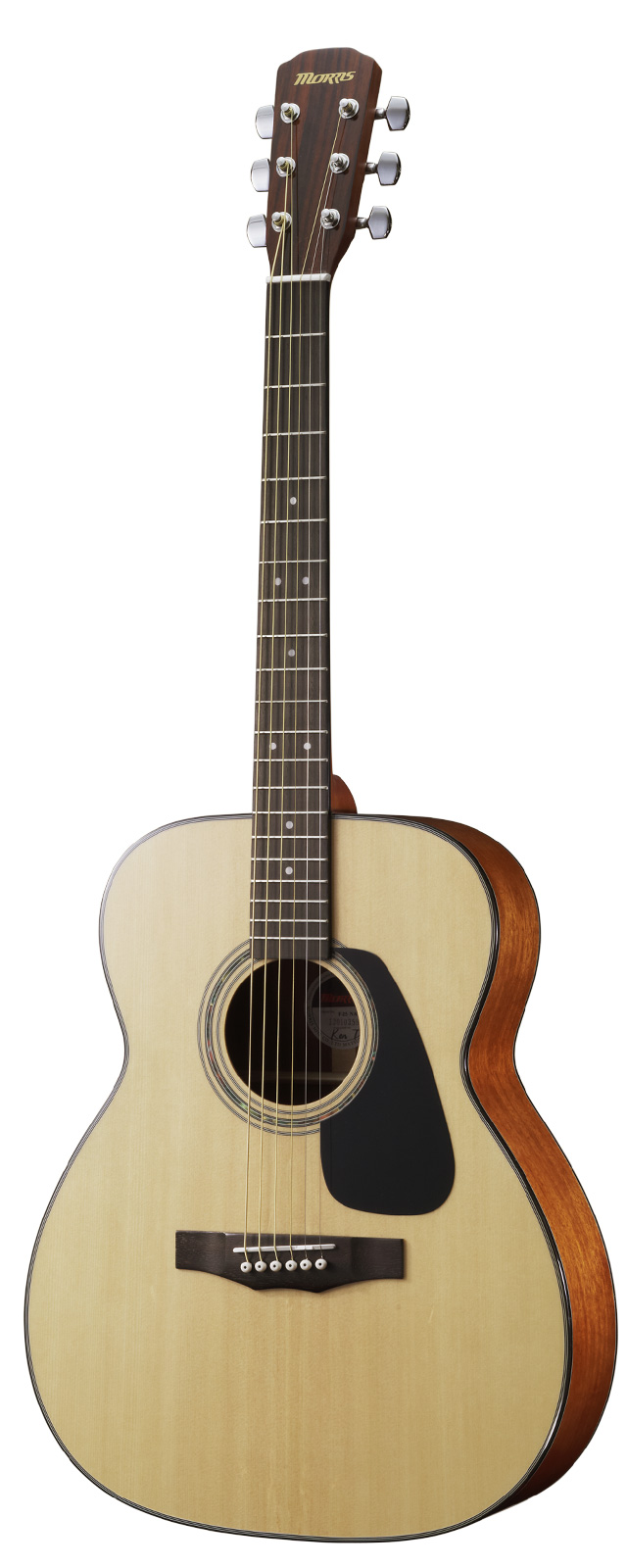 MORRIS MF-251 2000年 極上コンパクト MORRIS MF-251 2000年 極上