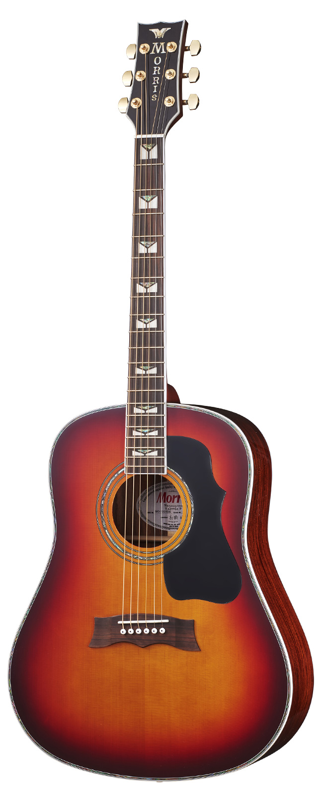 Morris/モーリス MG-50 □ アコースティックギター