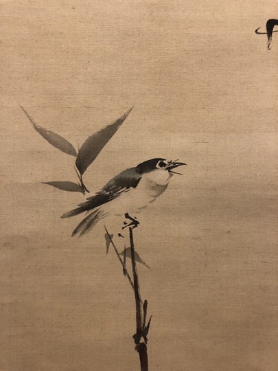 真作】掛軸 竹垣と七面鳥図 花鳥図 雅趣あふれる禽鳥図 合箱入 S13 真