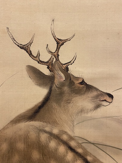 森祖仙 鹿図｜古美術・掛け軸の販売・買取・鑑定-松本松栄堂