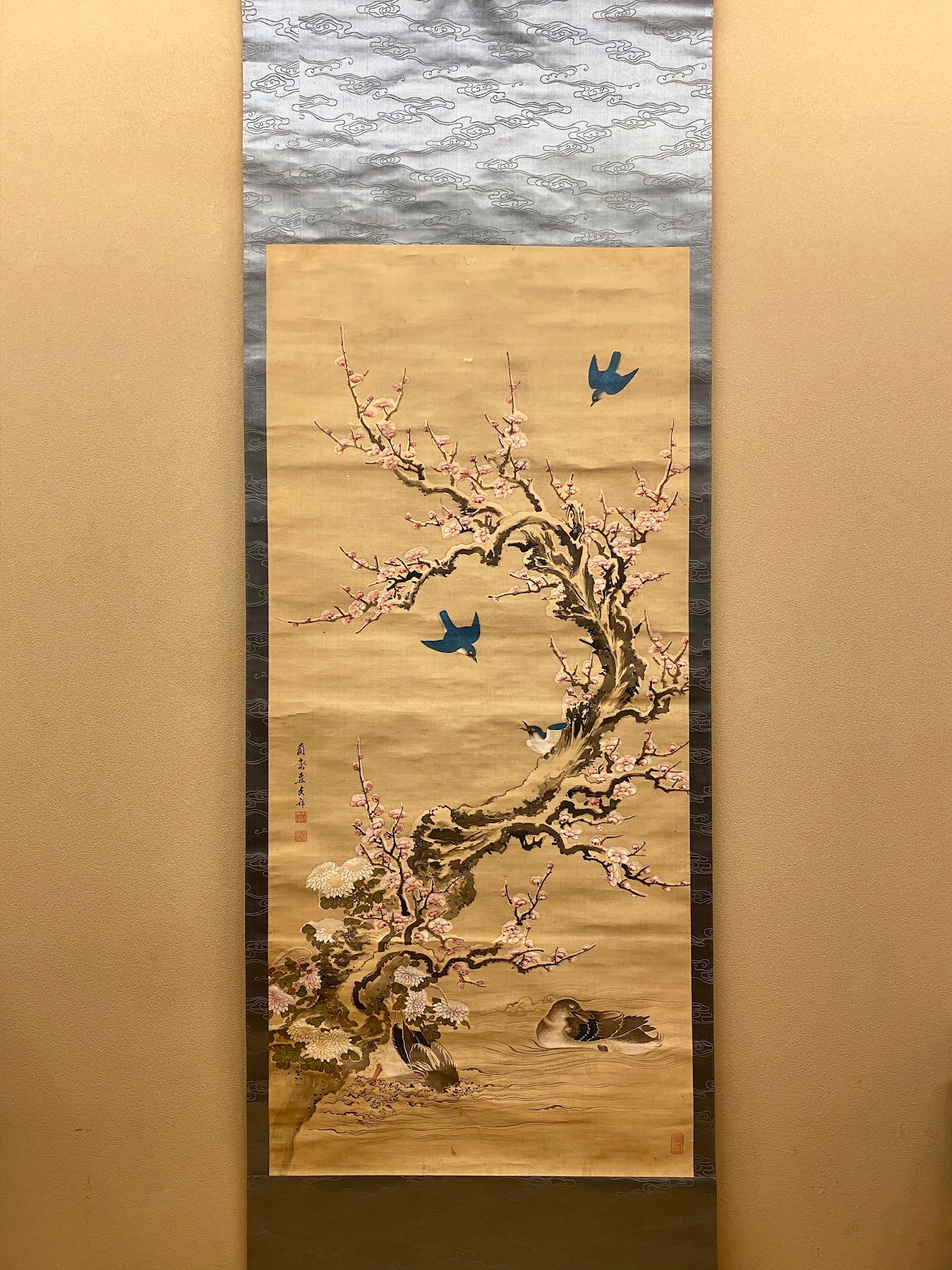 真作】森寛斎/菊翁図/人物図/掛軸/名家伝来/AC-565 真作】