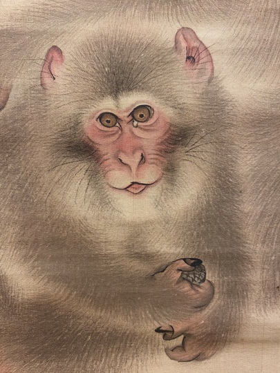 真作/森派の祖/森祖仙/猿画賛/金襴表装/布袋屋掛軸