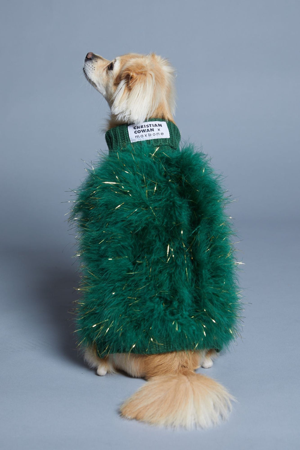 Christian Cowan Holiday Glitz Jumper – maxbone