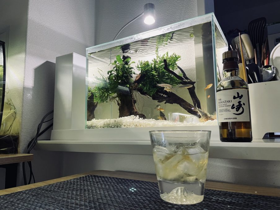 お洒落な傑作水槽の新モデル、AQUA-U WIDEをレビュー