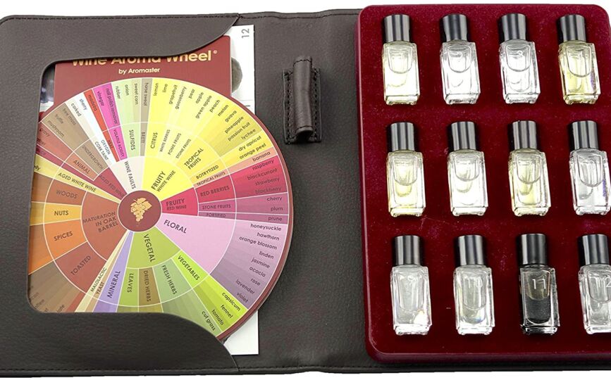 Le Nez Du Vin Master Whiskey Aroma Kit By Aromaster - 88 Whiskey