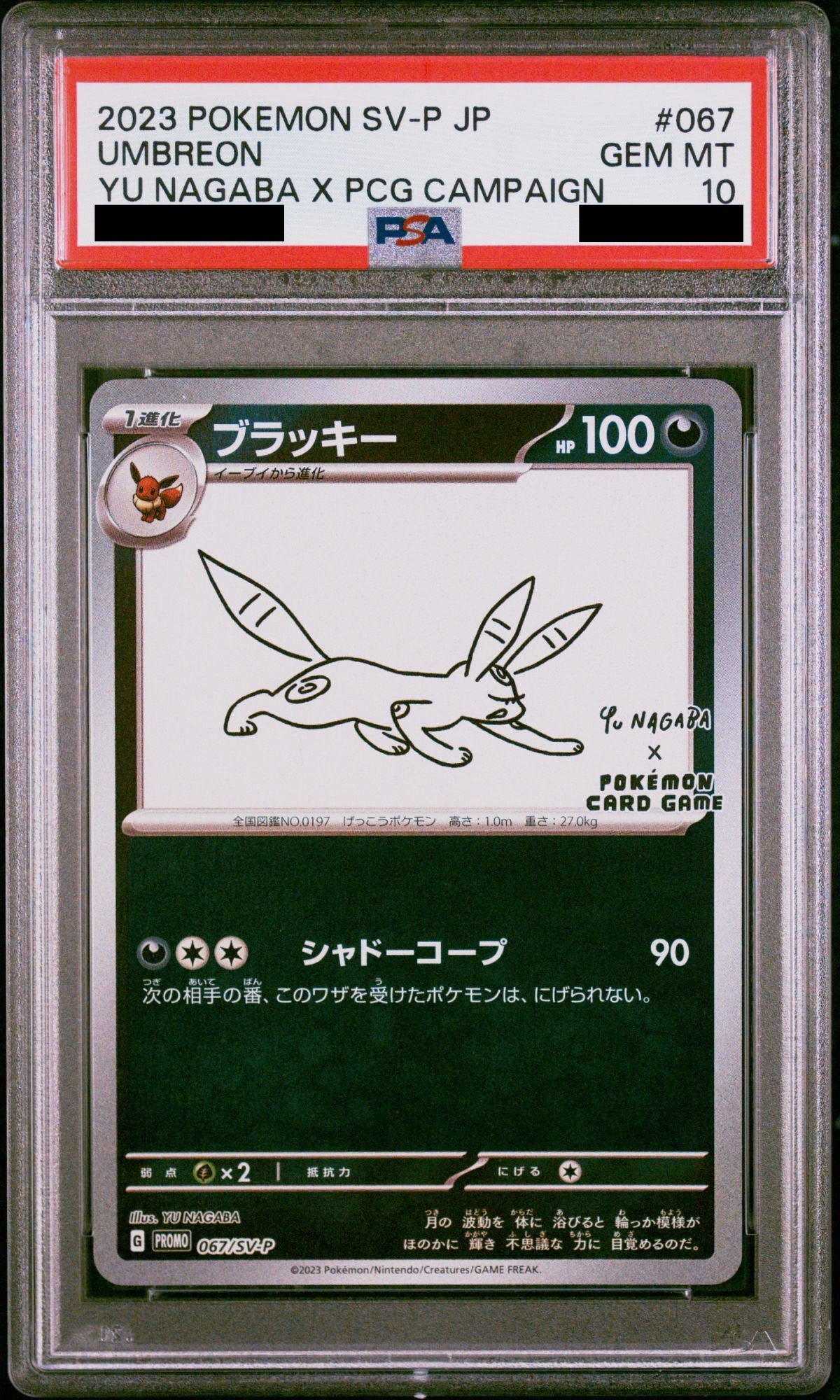 psa10 ブラッキー スター 25th プロモ PSA10 ブラッキー25th プロモ