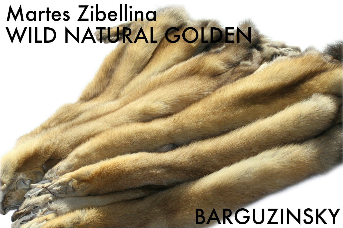 動物 飼育ロシアンセーブルの歴史 | モーダdeマコス