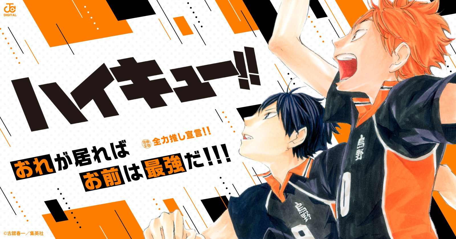 ハイキュー 漫画 排球本 画集 まとめ売り ハイキュー!! コンプリート