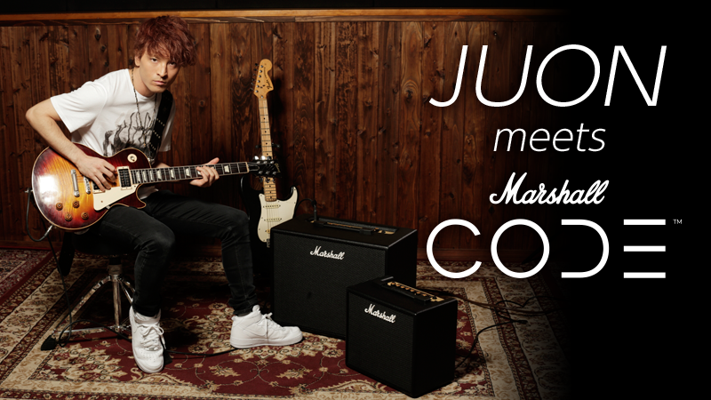 CODE212（生産完了品） | Cabinets | 製品情報 | Marshall Amps