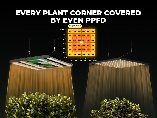 FC3000 EVO Samsung 300W | Mars Hydro | 2025 Best LED Grow Light