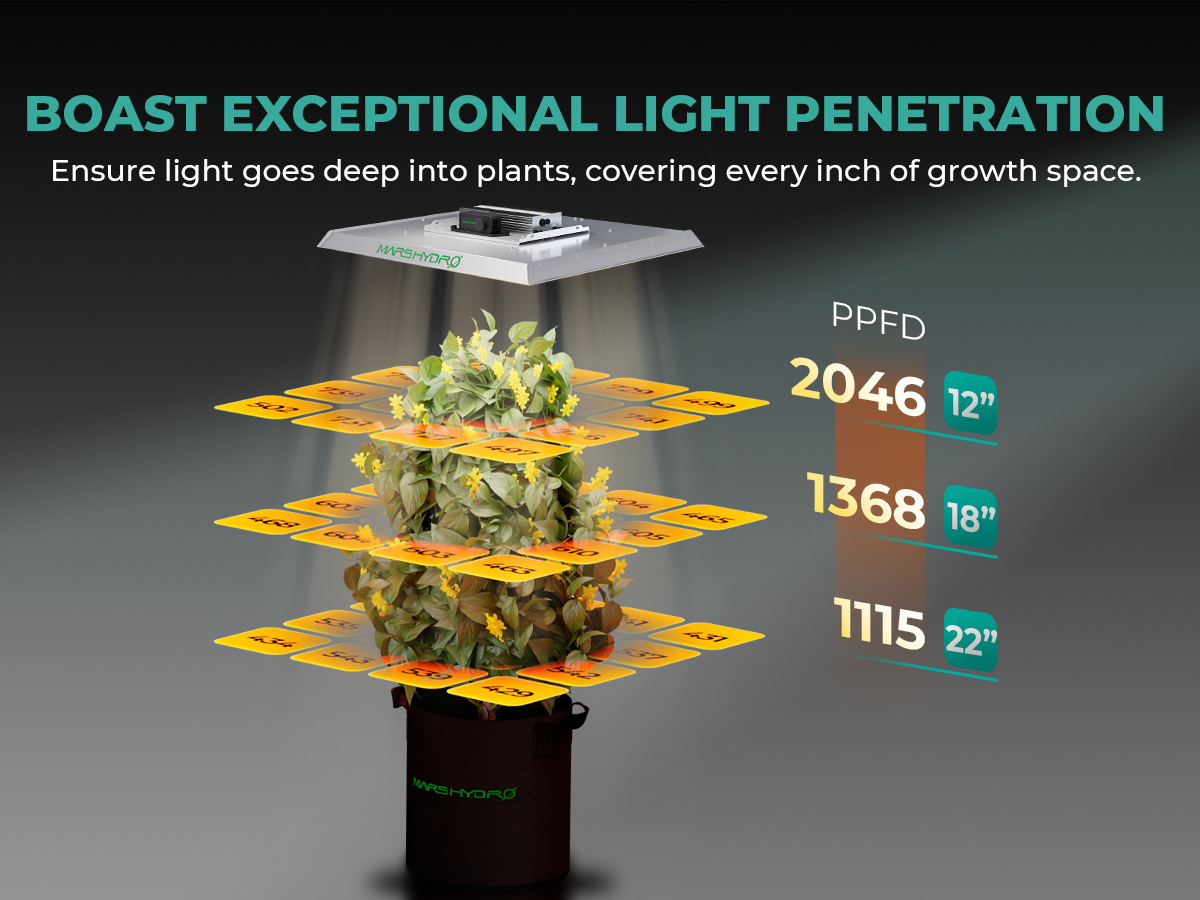 Mars Hydro TS 3000 植物育成LED グロウライト 420W Amazon.com : MARS