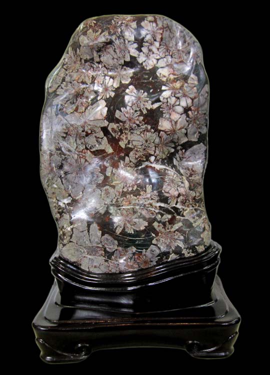 天然石 鑑賞石 菊花石 置物 重さ約1kg 唐木台付 古玩 V R6655 天然石