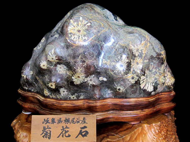 天然記念物【菊花石】古物骨董