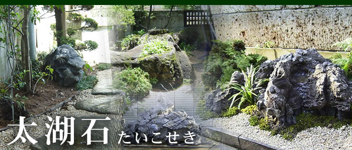 太湖石 景石 銘石 庭石 自然石 希少 穴あき石 177cm 大型 飾り石 鑑賞