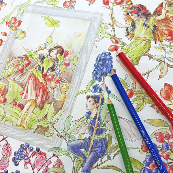 妖精 フェアリー ペンシルアート カラー 絵画 アート 花 フラワー 妖精