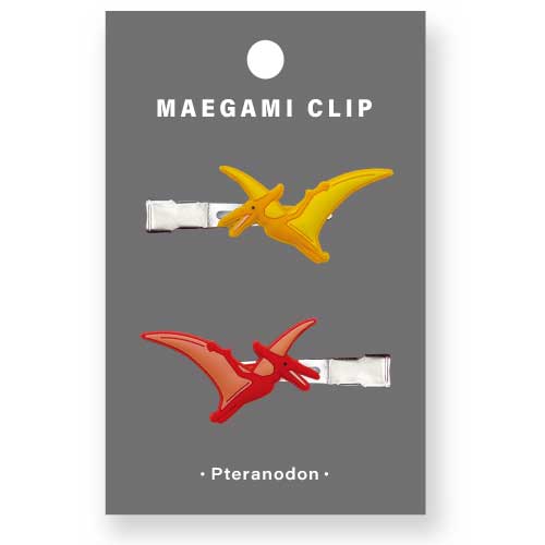 JADEX 公式アカウント03ドイツ、フリードリヒアウグスト一世メダル珍品