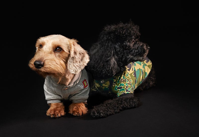 ディーゼルから初のドッグウェアコレクション！デニム＆スウェット地で
