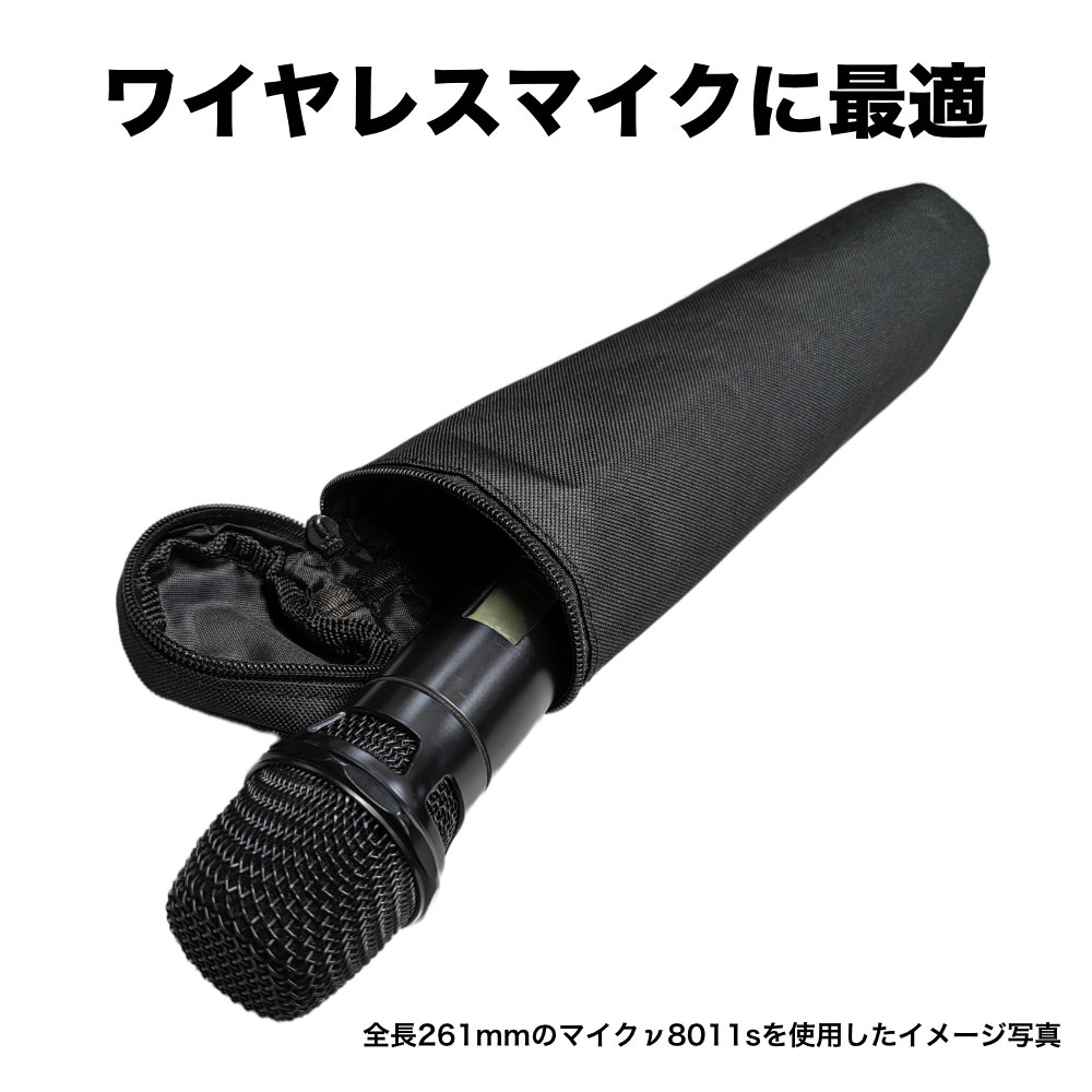 美品】AE4100 マイク 専用ケース付き 美品】AE4100 マイク 専用ケース