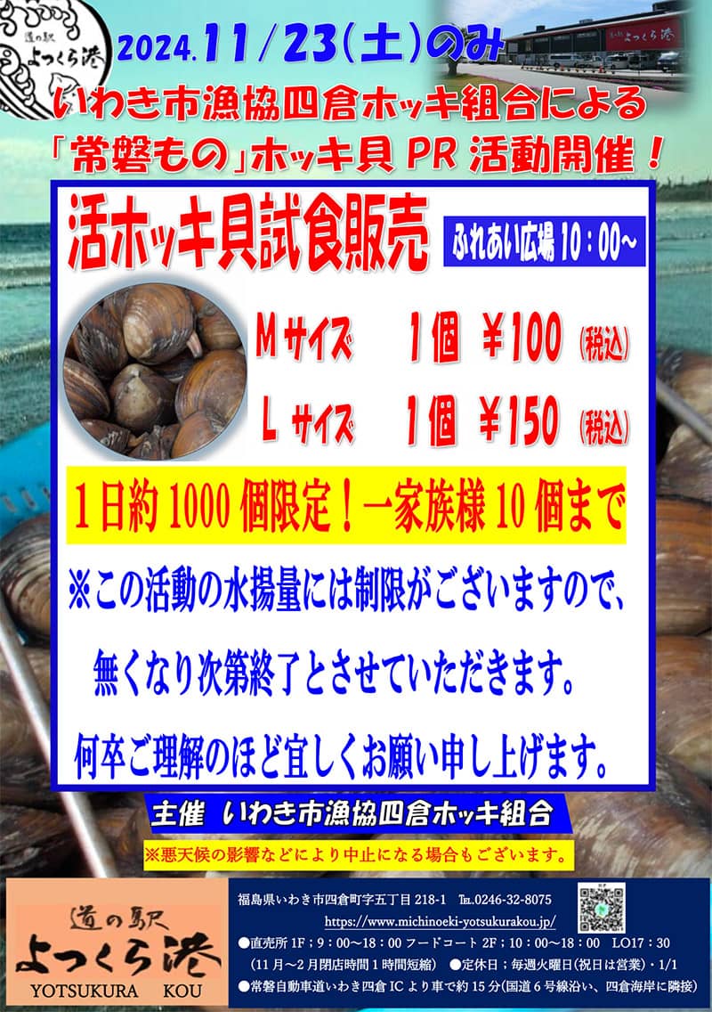 m*a様 貝まとめ売り