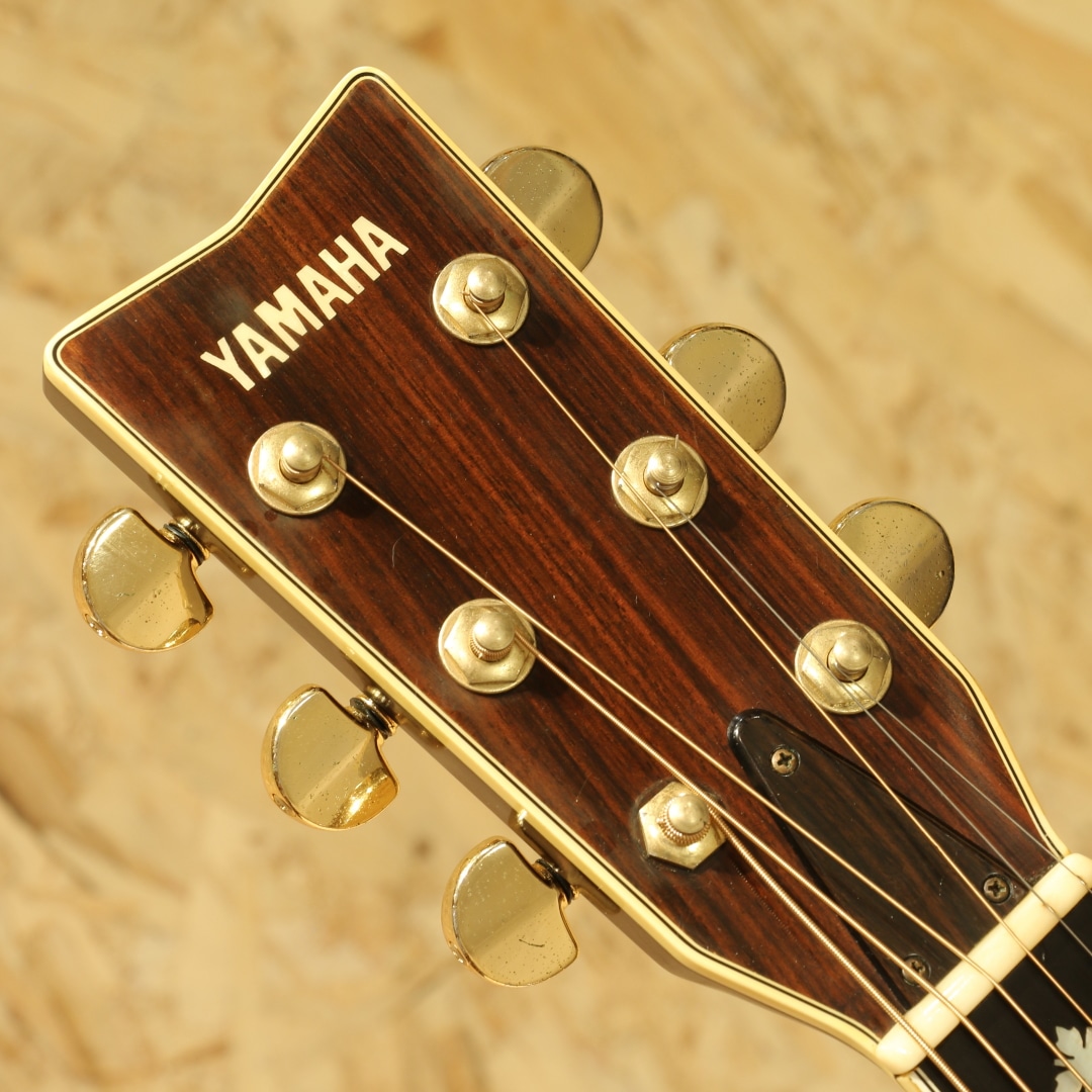 ギルド ギター カタログ ヴィンテージ 1982年製 激レア 2026年最新