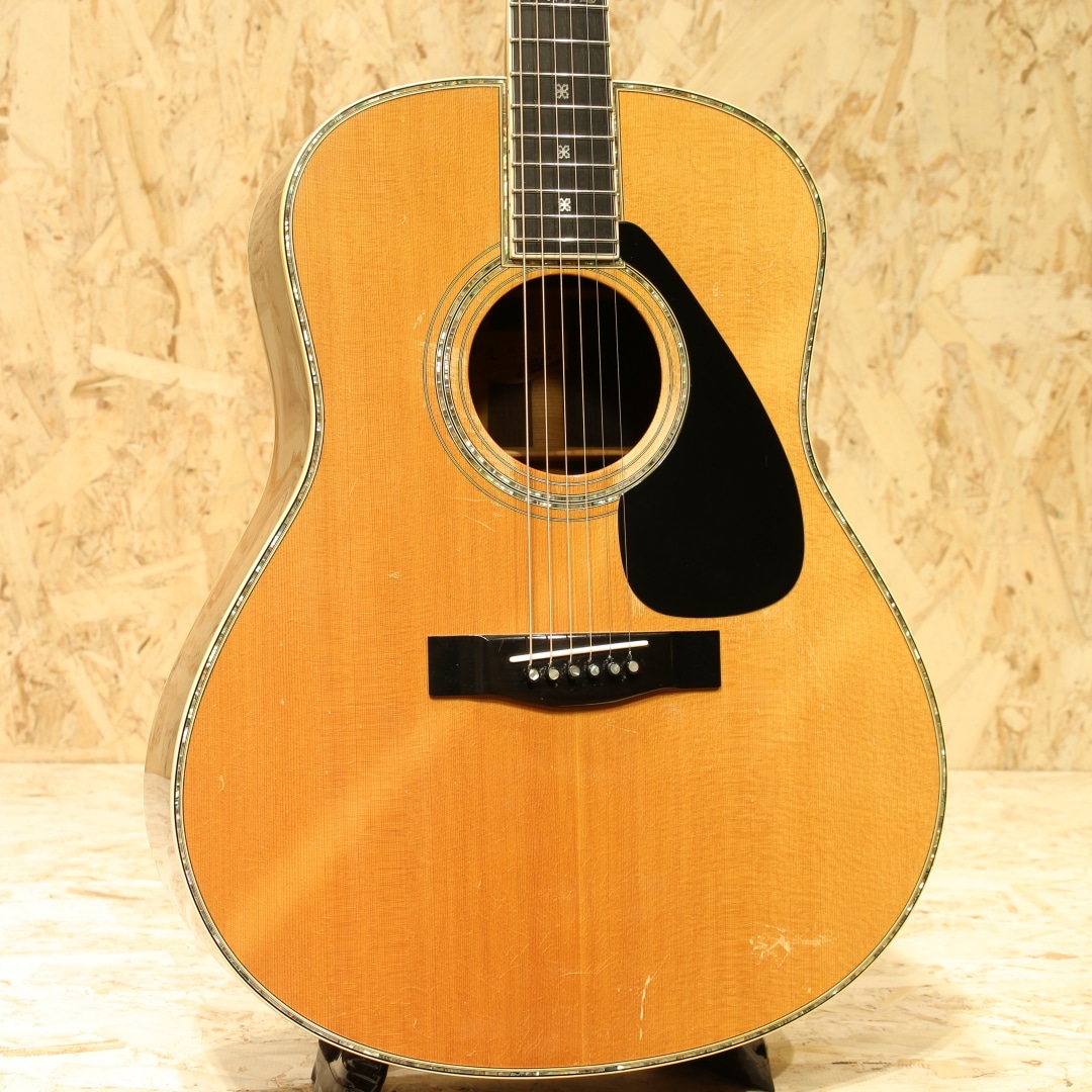 L-55 Jacaranda 1980: アコースティックギター｜三木楽器公式通販サイト