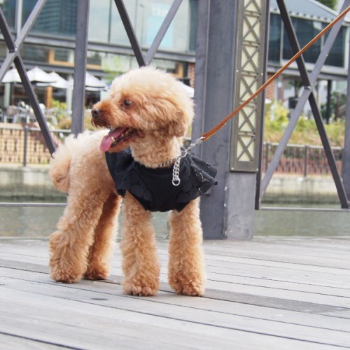 ハンドメイド 犬服 トレーナー裾フリルタンクトップ（受付ページ