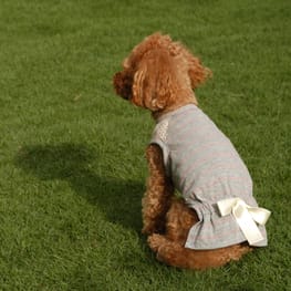 ラグランタンク・ラグランワンピ｜犬服無料型紙・作り方通販 milla milla