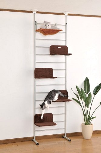 ボンビアルコン（Bonbi） キャットウォーク 【送料無料】｜みんなの