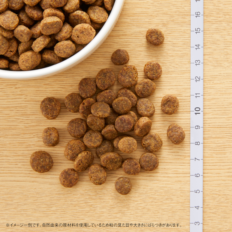 CANIN セレクトプロテイン FP 3kg×2 フィッシュ＆ポテト 犬用 セレクト