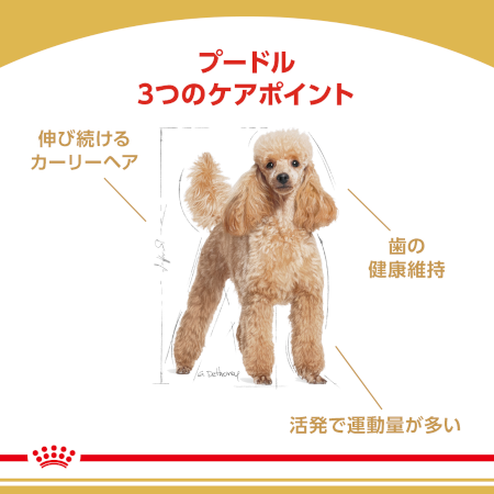 ロイヤルカナン BHN プードル （成犬用）｜みんなのペット健康専門店
