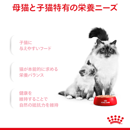 ロイヤルカナン FHN-WET マザー＆ベビーキャット（子猫・母猫用