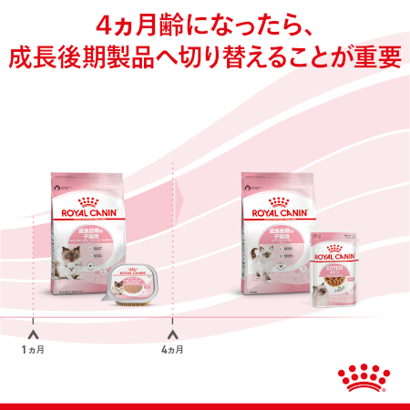 るんるん】 CANIN ベビーキャット2箱(48缶) ベビーキャット2箱(48缶