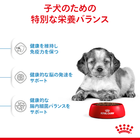ロイヤルカナン SHN ミディアム パピー（子犬用） 【送料無料