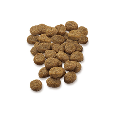 セレクトバランス グレインフリー アダルト チキン 小粒（成犬用