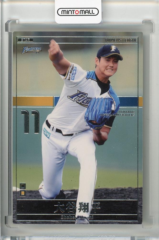 値下げ不可】プロ野球カード 大谷翔平選手2013オーナーズリーグ 即購入