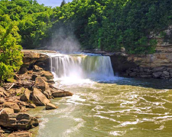 ブラントン ウイスキーの商品一覧 通信販売FELICITY