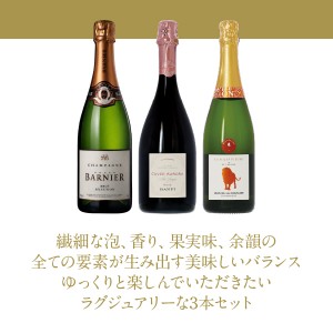 送料無料 【23】ゆっくりと時間をかけて楽しみたい！ ラグジュアリーな