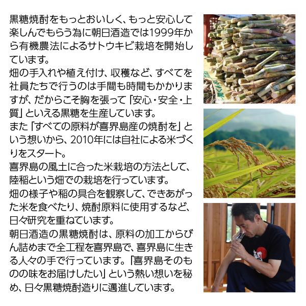 奄美 黒潮 黒糖 朝日酒造の正規販売店
