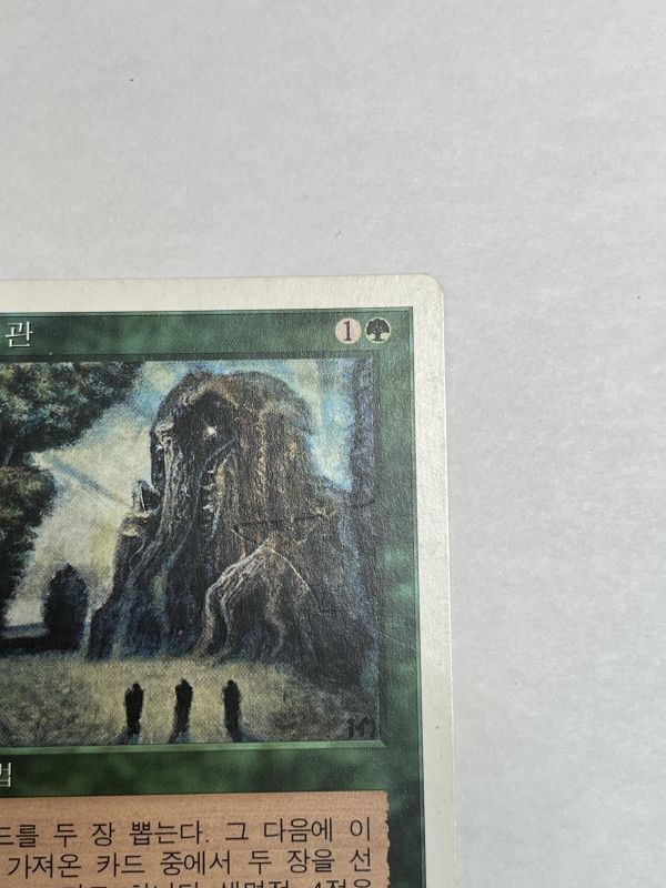 MTG 韓国語 森の知恵 森の知恵/Sylvan Library》[5ED] MP 韓国語 -