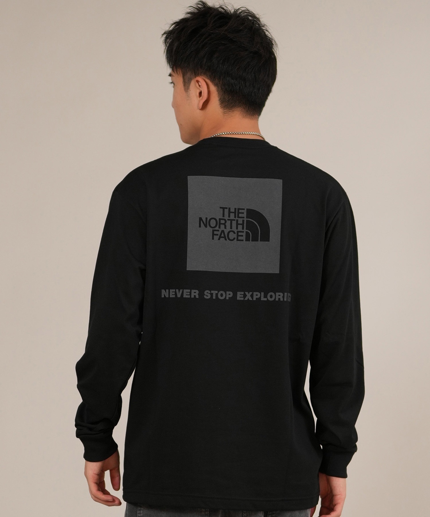 THE NORTH FACE ザ・ノース・フェイス 長袖 Tシャツ ロンT メンズ ロゴ
