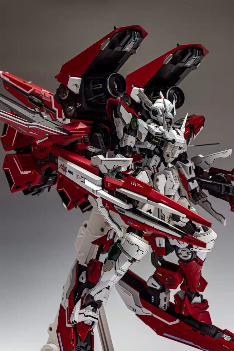 Stickler Studio_040)1/100 ギラ・ズール 改造パーツ + ABSフレイム