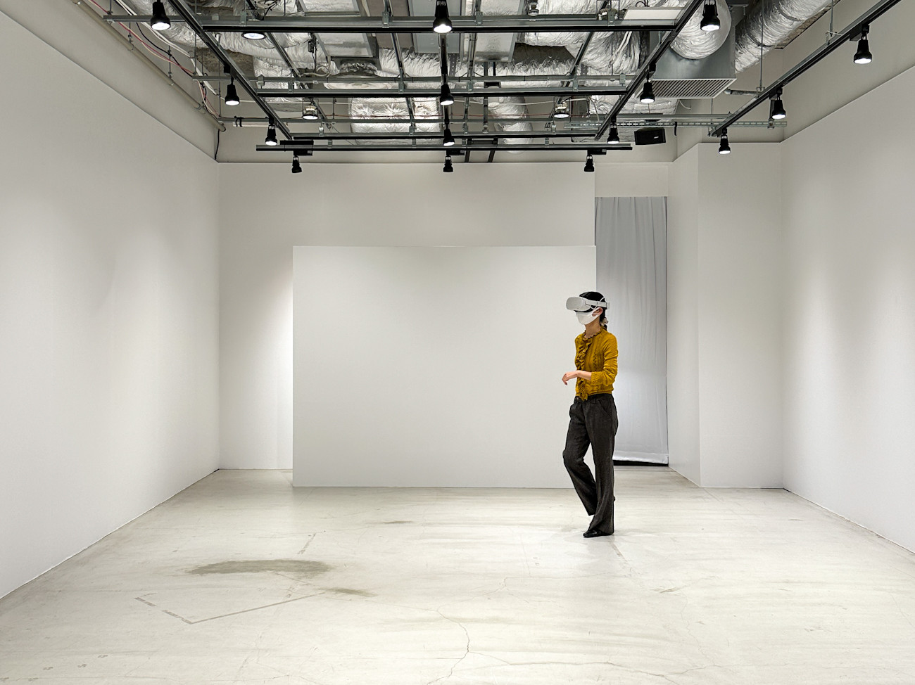 Julian Opie 限定版 Birds プレート 2021年 イギリスを代表する現代